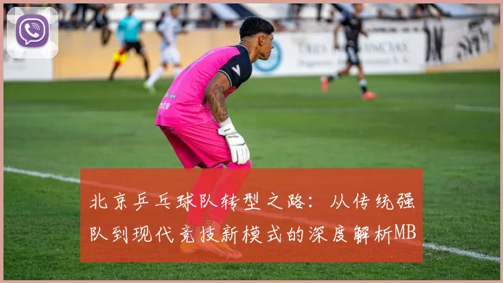 北京乒乓球队转型之路：从传统强队到现代竞技新模式的深度解析MBA