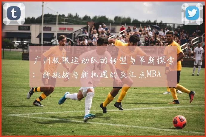 广州极限运动队的转型与革新探索：新挑战与新机遇的交汇点MBA