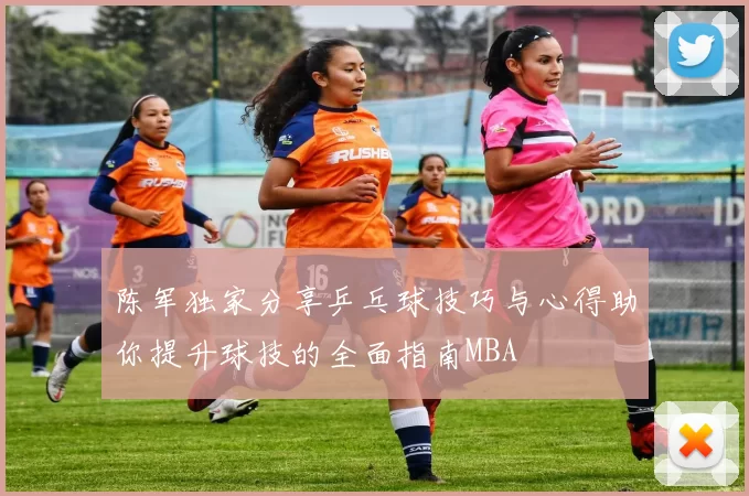 陈军独家分享乒乓球技巧与心得助你提升球技的全面指南MBA