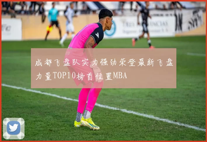 成都飞盘队实力强劲荣登最新飞盘力量TOP10榜首位置MBA