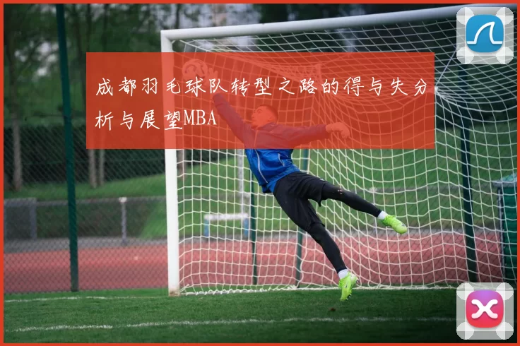 成都羽毛球队转型之路的得与失分析与展望MBA